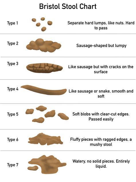 12 inch turd|Identifying Types of Poop with the Bristol Stool Chart and More.